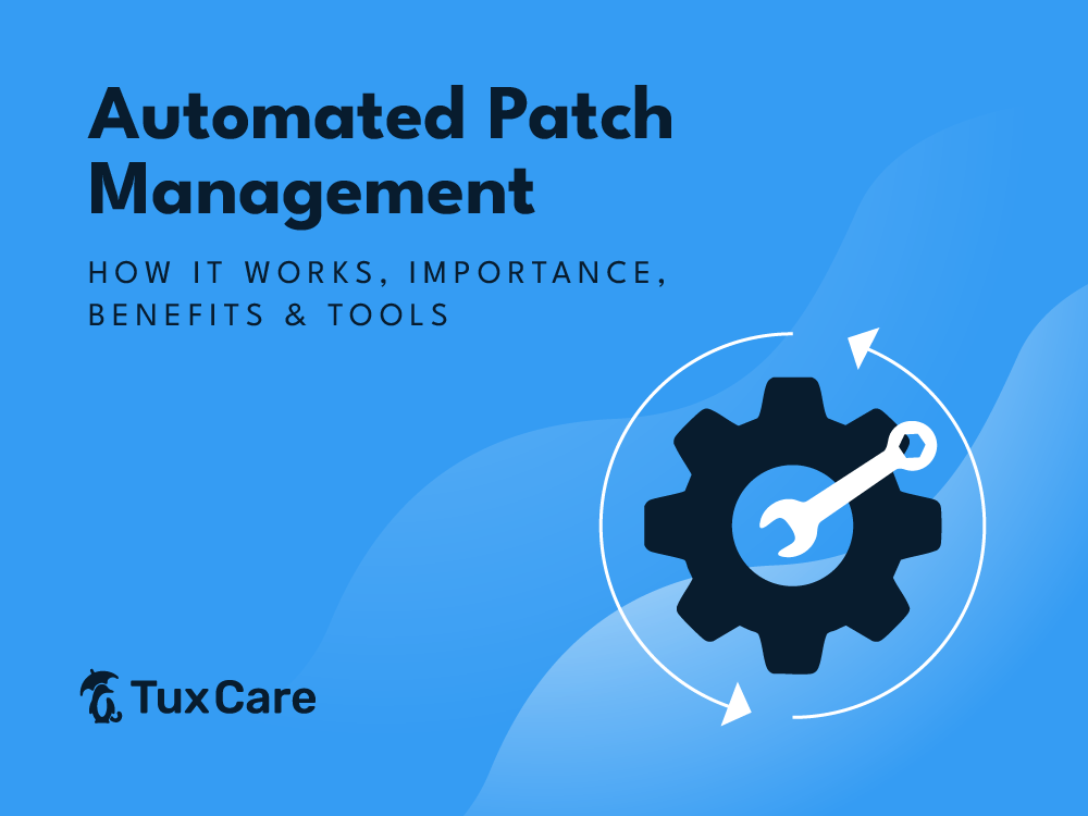 Automated Patch Management: How It Works, Importance, Benefits & Tools