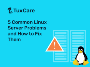 Linux Server Problems