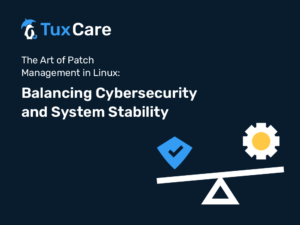 patch management