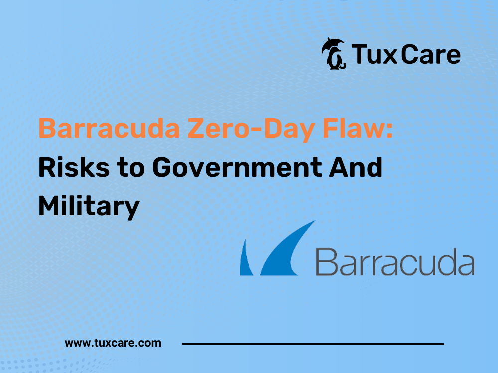 Barracuda Zero-Day Flaw: Risks to Government And Military