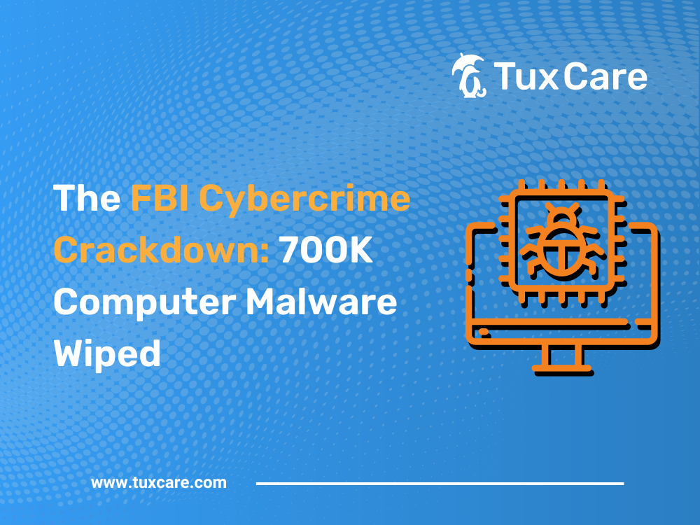 The FBI Cybercrime Crackdown: 700K Computer Malware Wiped