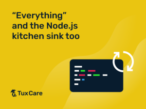Node.js