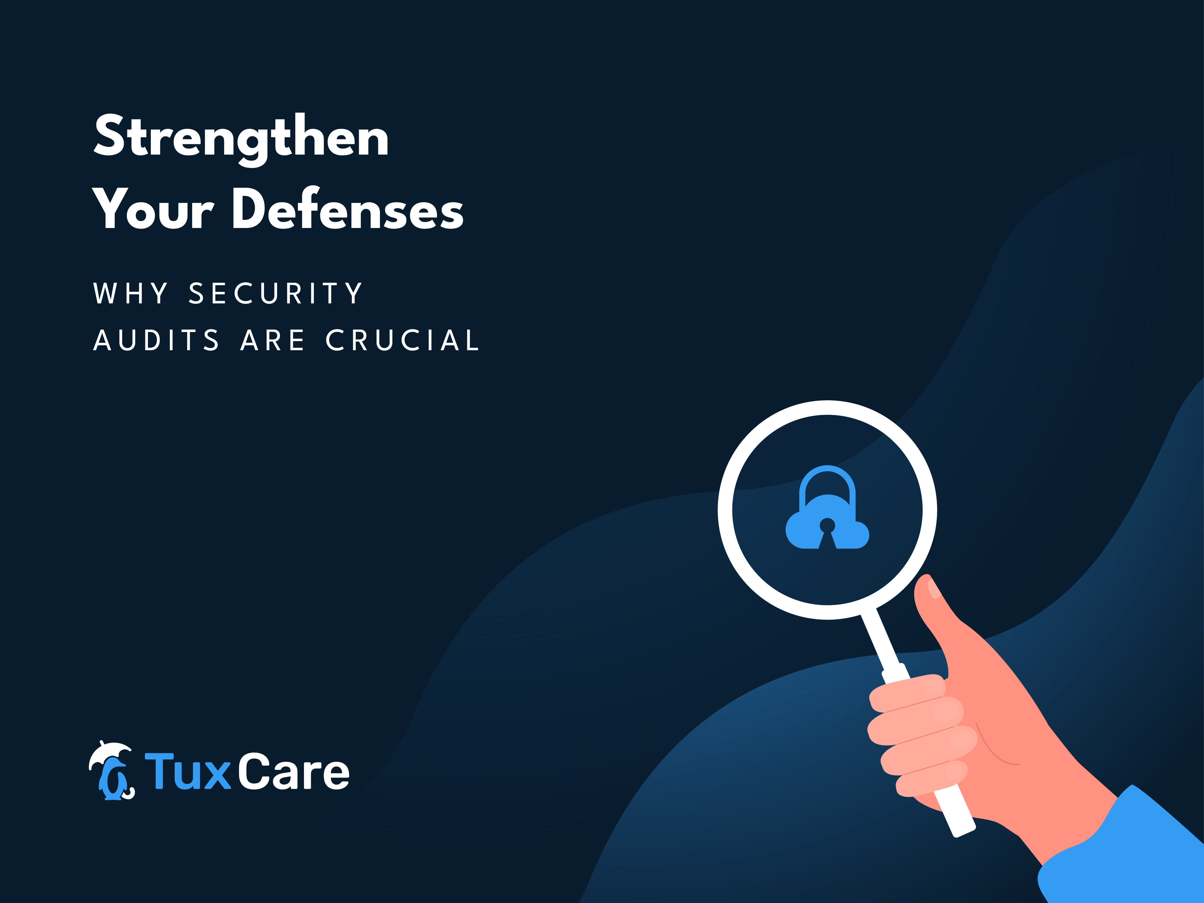 security audits