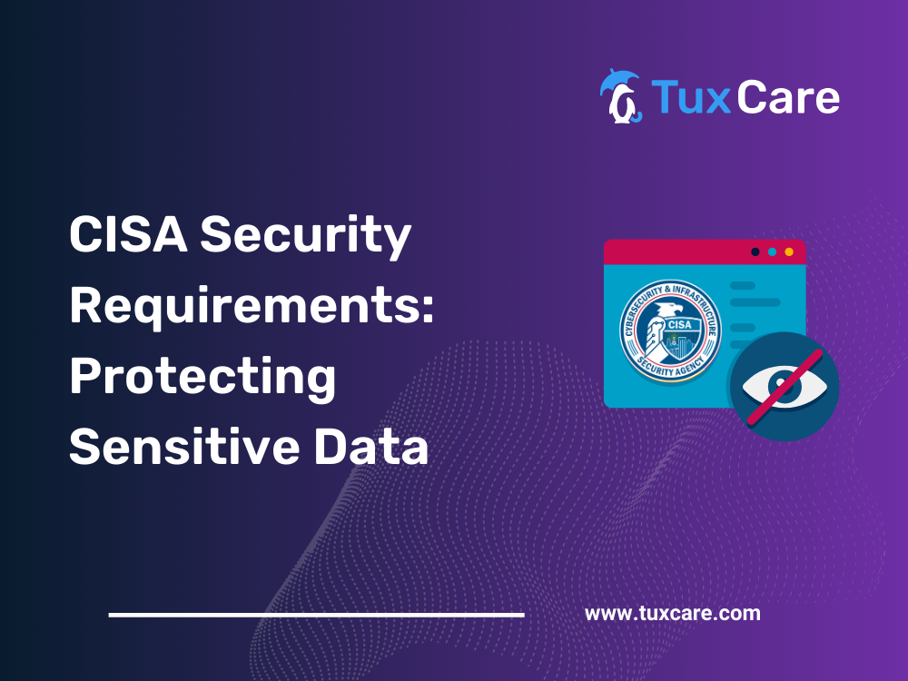 CISA Security Requirements: Protecting Sensitive Information