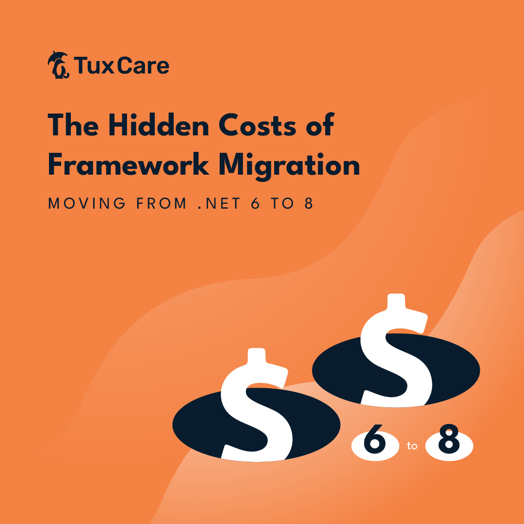 The Hidden Costs of Framework Migration: Moving from .NET 6 to 8