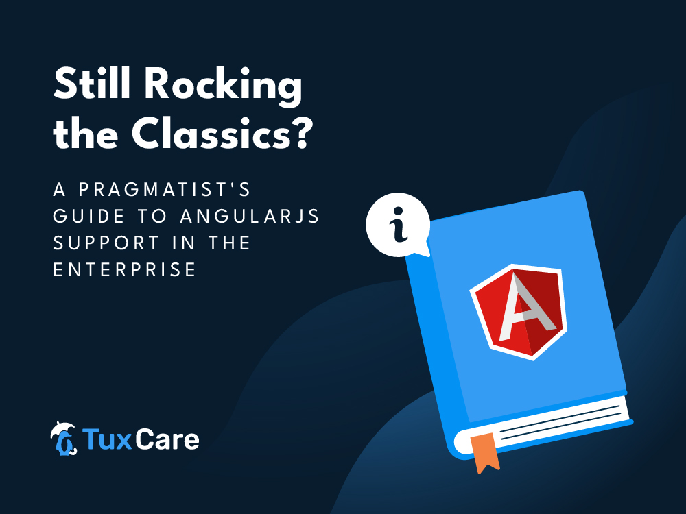 Angular JS